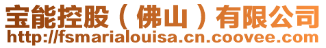 寶能控股(佛山)有限公司