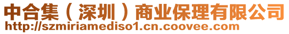 中合集（深圳）商業保理有限公司
