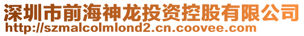 深圳市前海神龍投資控股有限公司