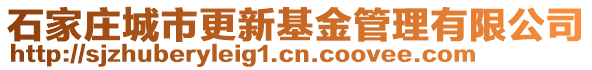 石家莊城市更新基金管理有限公司