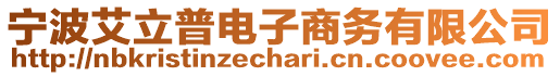 寧波艾立普電子商務(wù)有限公司