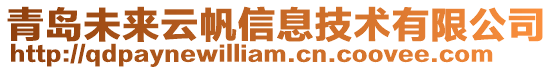青島未來云帆信息技術有限公司