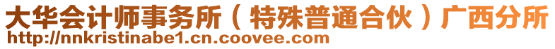 大華會計師事務所(特殊普通合伙)廣西分所