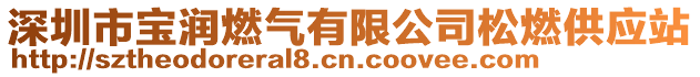 深圳市寶潤燃氣有限公司松燃供應站