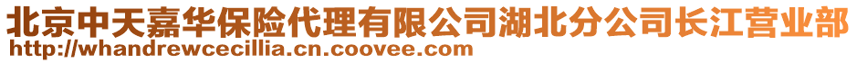 北京中天嘉華保險代理有限公司湖北分公司長江營業(yè)部