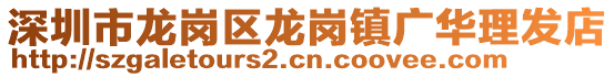 深圳市龍崗區(qū)龍崗鎮(zhèn)廣華理發(fā)店