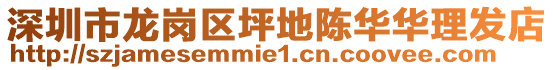 深圳市龍崗區(qū)坪地陳華華理發(fā)店