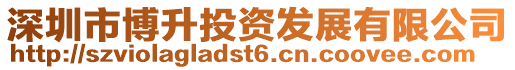 深圳市博升投資發展有限公司