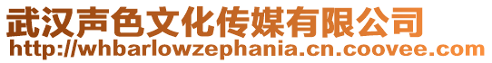 武漢聲色文化傳媒有限公司