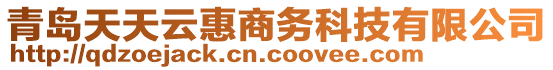 青島天天云惠商務(wù)科技有限公司