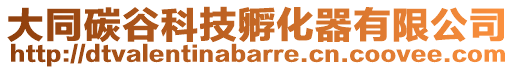 大同碳谷科技孵化器有限公司