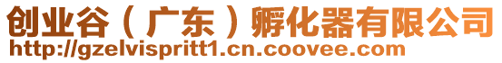 創(chuàng)業(yè)谷（廣東）孵化器有限公司