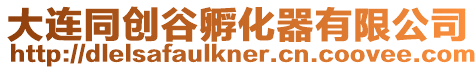 大連同創谷孵化器有限公司