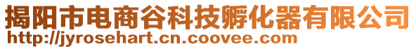 揭陽市電商谷科技孵化器有限公司