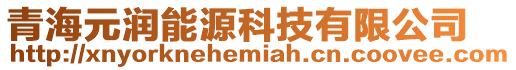 青海元潤能源科技有限公司