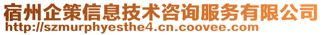 宿州企策信息技術咨詢服務有限公司