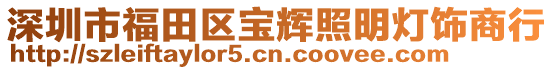 深圳市福田區(qū)寶輝照明燈飾商行