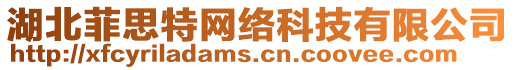 湖北菲思特網絡科技有限公司