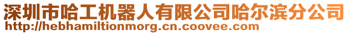 深圳市哈工機(jī)器人有限公司哈爾濱分公司