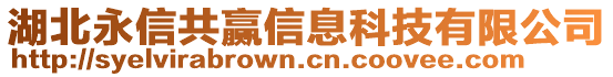 湖北永信共贏信息科技有限公司