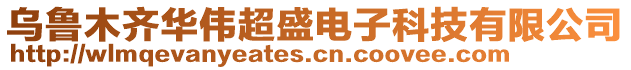 烏魯木齊華偉超盛電子科技有限公司