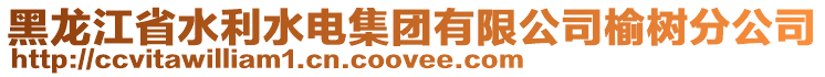 黑龍江省水利水電集團有限公司榆樹分公司
