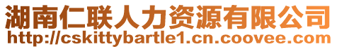 湖南仁聯(lián)人力資源有限公司