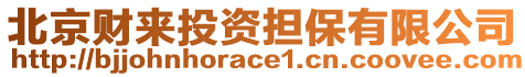 北京財(cái)來投資擔(dān)保有限公司