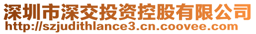 深圳市深交投資控股有限公司