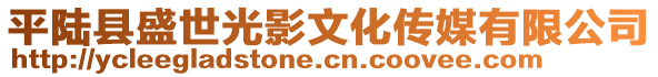 平陆县盛世光影文化传媒有限公司