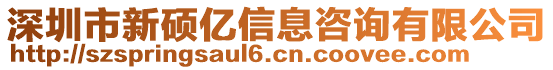 深圳市新碩億信息咨詢有限公司