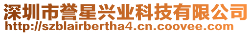 深圳市譽星興業科技有限公司