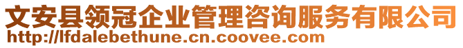 文安縣領冠企業管理咨詢服務有限公司