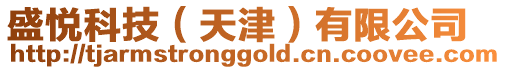 盛悅科技(天津)有限公司