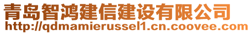 青島智鴻建信建設有限公司