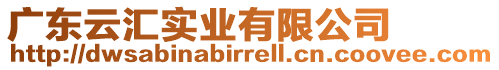 廣東云匯實(shí)業(yè)有限公司