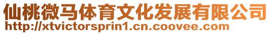 仙桃微馬體育文化發(fā)展有限公司