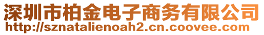 深圳市柏金電子商務有限公司