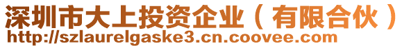 深圳市大上投資企業（有限合伙）