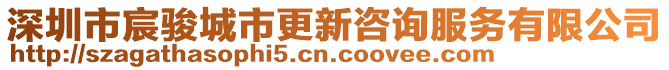 深圳市宸駿城市更新咨詢服務(wù)有限公司