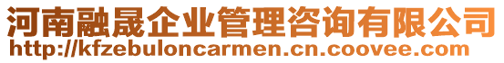 河南融晟企業(yè)管理咨詢有限公司