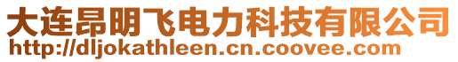 大連昂明飛電力科技有限公司