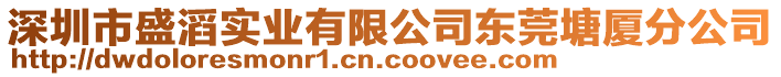 深圳市盛滔實(shí)業(yè)有限公司東莞塘廈分公司