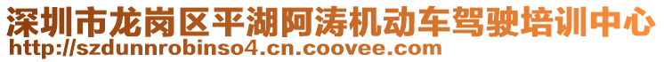 深圳市龍崗區(qū)平湖阿濤機(jī)動(dòng)車(chē)駕駛培訓(xùn)中心