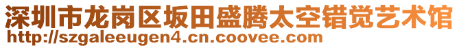 深圳市龍崗區(qū)坂田盛騰太空錯(cuò)覺(jué)藝術(shù)館