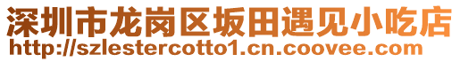 深圳市龍崗區(qū)坂田遇見小吃店