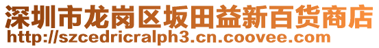 深圳市龍崗區(qū)坂田益新百貨商店