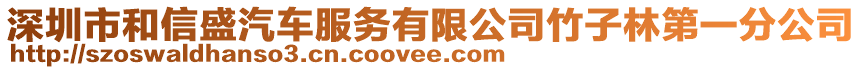 深圳市和信盛汽車(chē)服務(wù)有限公司竹子林第一分公司