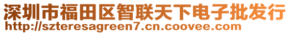 深圳市福田區(qū)智聯(lián)天下電子批發(fā)行