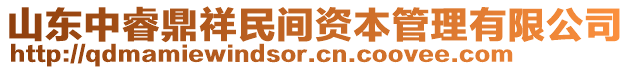 山東中睿鼎祥民間資本管理有限公司